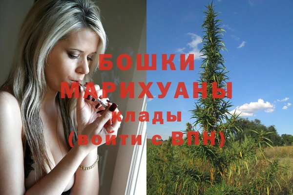 соль курить ск Бородино