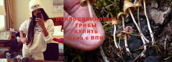 Альфа ПВП Усмань