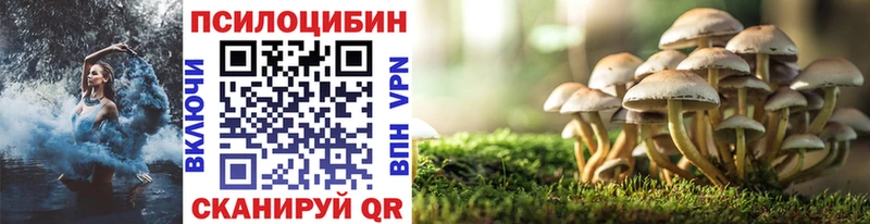Псилоцибиновые грибы мицелий  Кизляр 